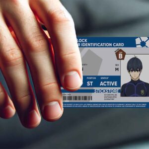 High Quality Waterproof Blue Lock PVC ID Card