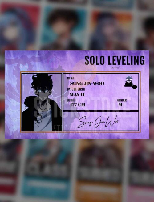 High Quality Waterproof Solo Leveling SUNG JIN WOO PVC ID Card